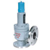 Safety valve