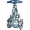 Cast Steel Globe Valves