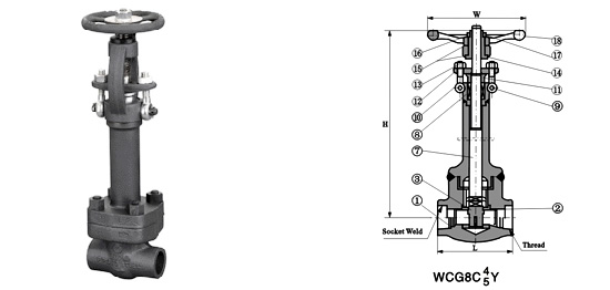 cryogenic gate valve