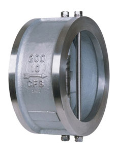 dual check valve