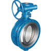 Triple Offset Metal-Seal Butterfly Valve