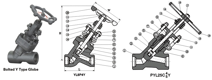 Y pattern globe valve