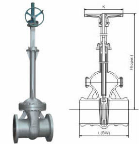 bellows gate valve