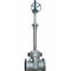 Bellows Gate Valve