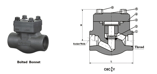 piston check valve