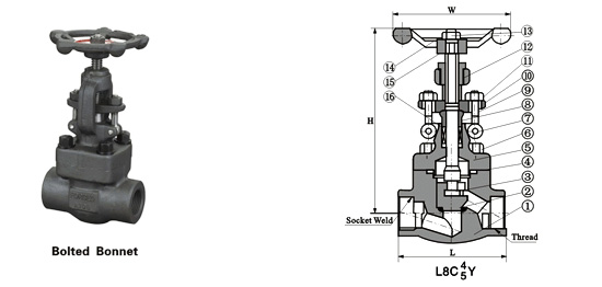 globe valve