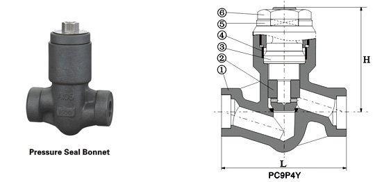piston check valve