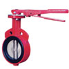 Wafer Type Butterfly Valve