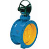 Flanged Type Soft-Seal Butterfly Valve