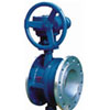 Flanged Expansion Butterfly Valve