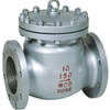 Swing Check Valve