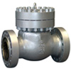 Pressure Seal Check Valve