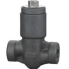 Pressure-Seal Piston Check Valve