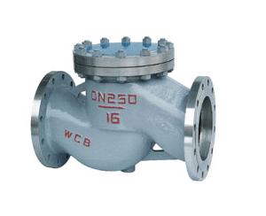 lift check valve