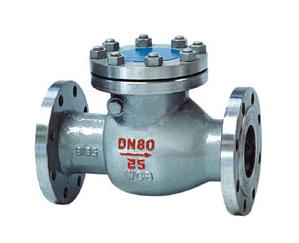 check valve