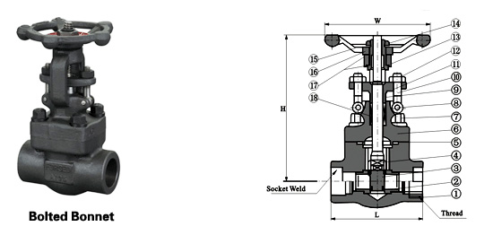 gate valve