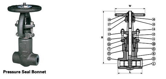 pressure seal gate valve