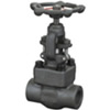 Bolt Bonnet Globe Valve