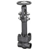 Cryogenic Globe Valve