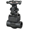 Bolt bonnet gate valve