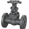 Flanged End Pressure-Seal Gate Valve