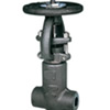 Pressure-Seal Gate Valve