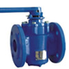 Eccentricity Plug Valve