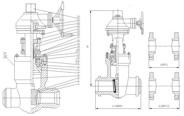 gate valve