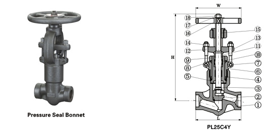 pressure seal globe valve