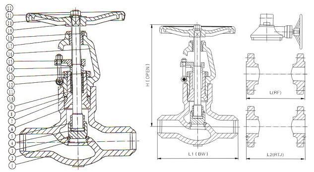 globe valve