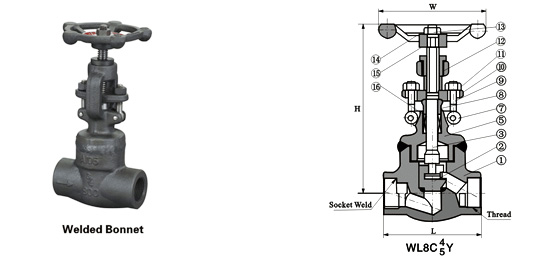 globe valve