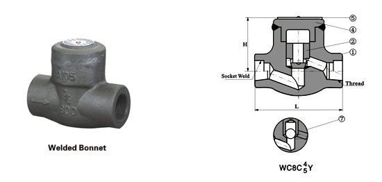 piston check valve